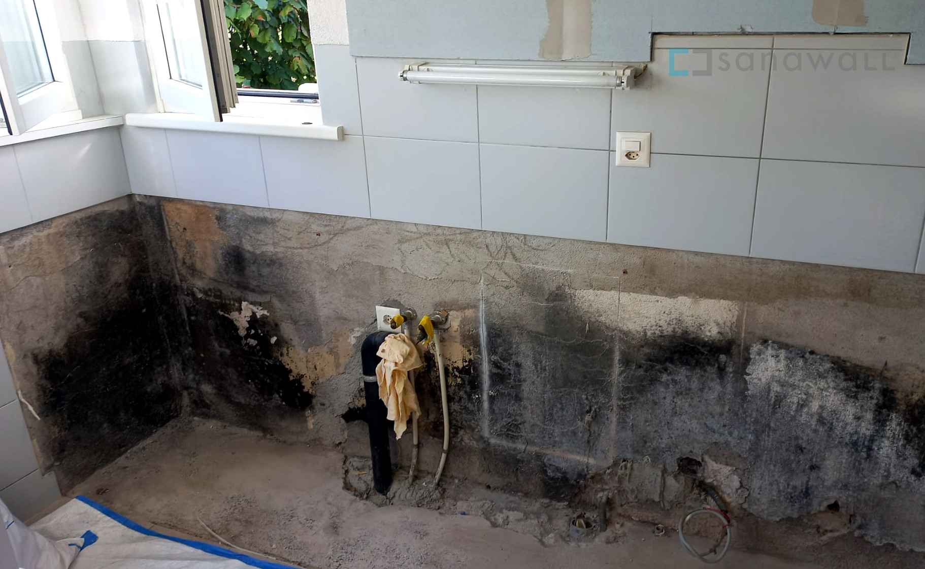 Schimmelpilz in der Küche Sanawall